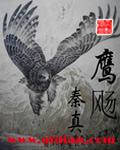 鹰飏 秦真