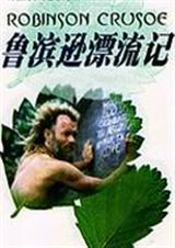 鲁滨逊漂流记小报