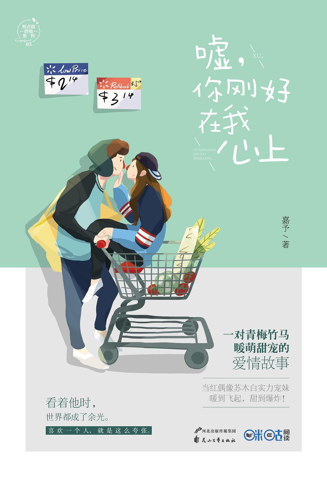 可否摘星辰 嘉予