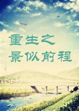 重生三年前程哲楠