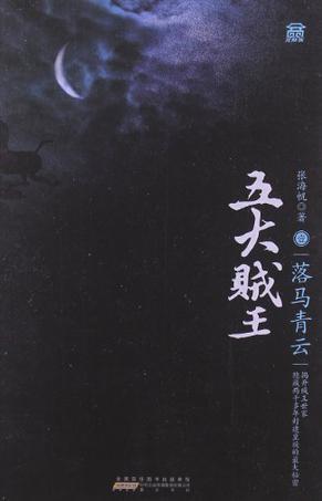 五大贼王讲的是什么