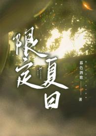 限定夏日网易云