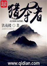 掠夺者固态硬盘