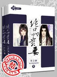 绝品贵妻免费阅读