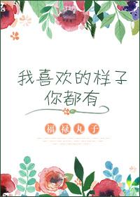 我喜欢的样子你都有合集在线观看