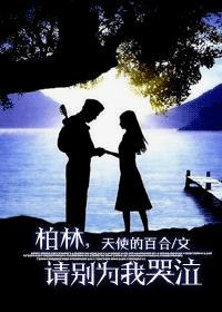 柏林请别为我哭泣讲的什么