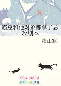 霸总和他的小奶猫晋江