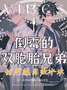 每天都被双胞胎兄弟欺负
