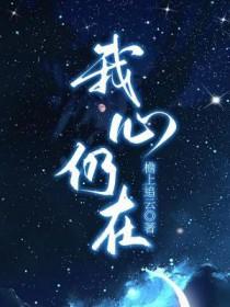 我的心还在歌词