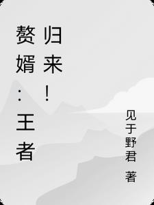 赘婿归来 最新章节 无弹窗