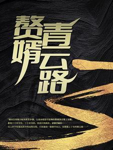 赘婿青云路安江