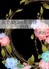 五个alpha都想得到我肉车吗