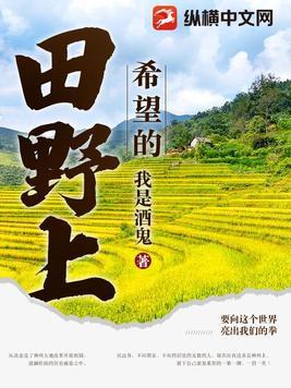 希望的田野歌词