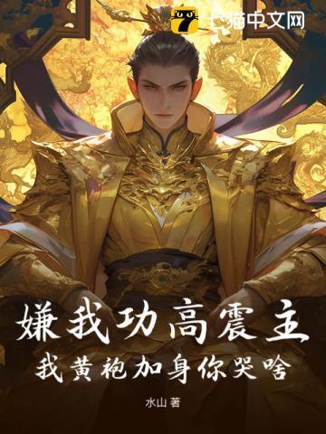 嫌我功高震主我黄袍加身你哭啥