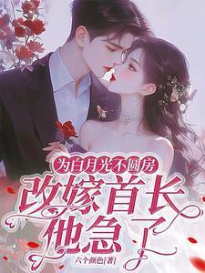 改嫁首长他急了六个颜色 / 著