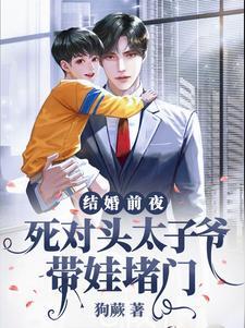 结婚前一天我跟死对头私奔了杜芊