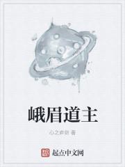 峨眉道主不写了