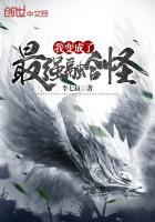 小磁怪和谁融合最强