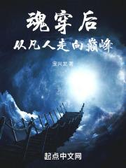 魂穿后从凡人走向巅峰